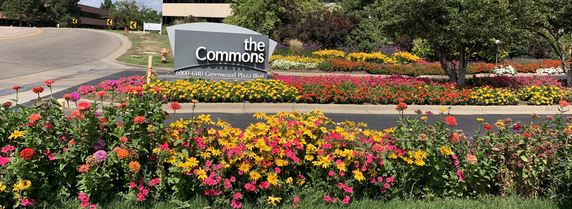 The Commons main entance with flowers